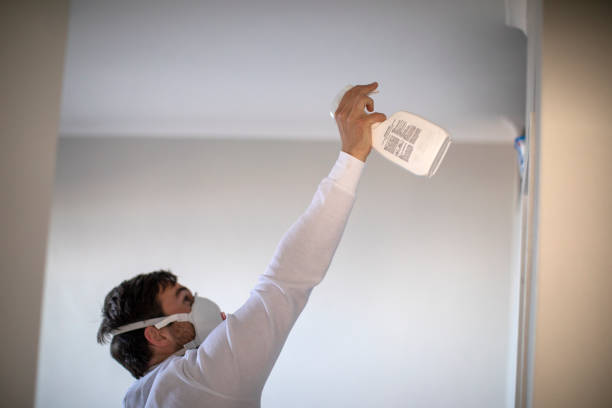 Best Toxic Mold Removal  in Beachwood, NJ
